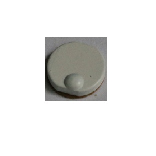 WG-T024陶瓷标签